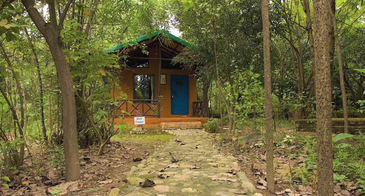 Hotel Camp Hornbill Corbett Ramnagar  Zewnętrze zdjęcie
