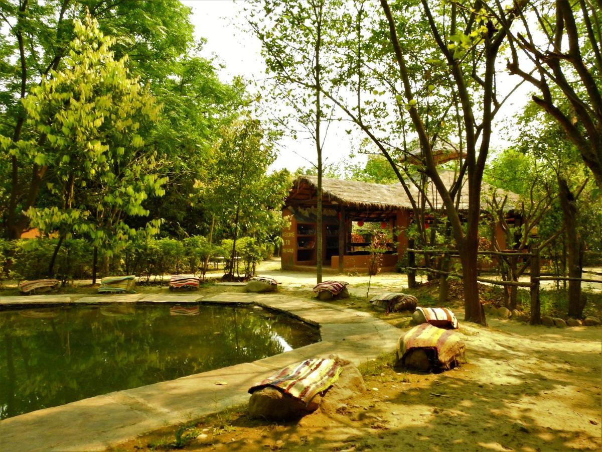 Hotel Camp Hornbill Corbett Ramnagar  Zewnętrze zdjęcie